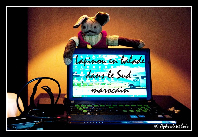 Lapinou in Morocco 2010